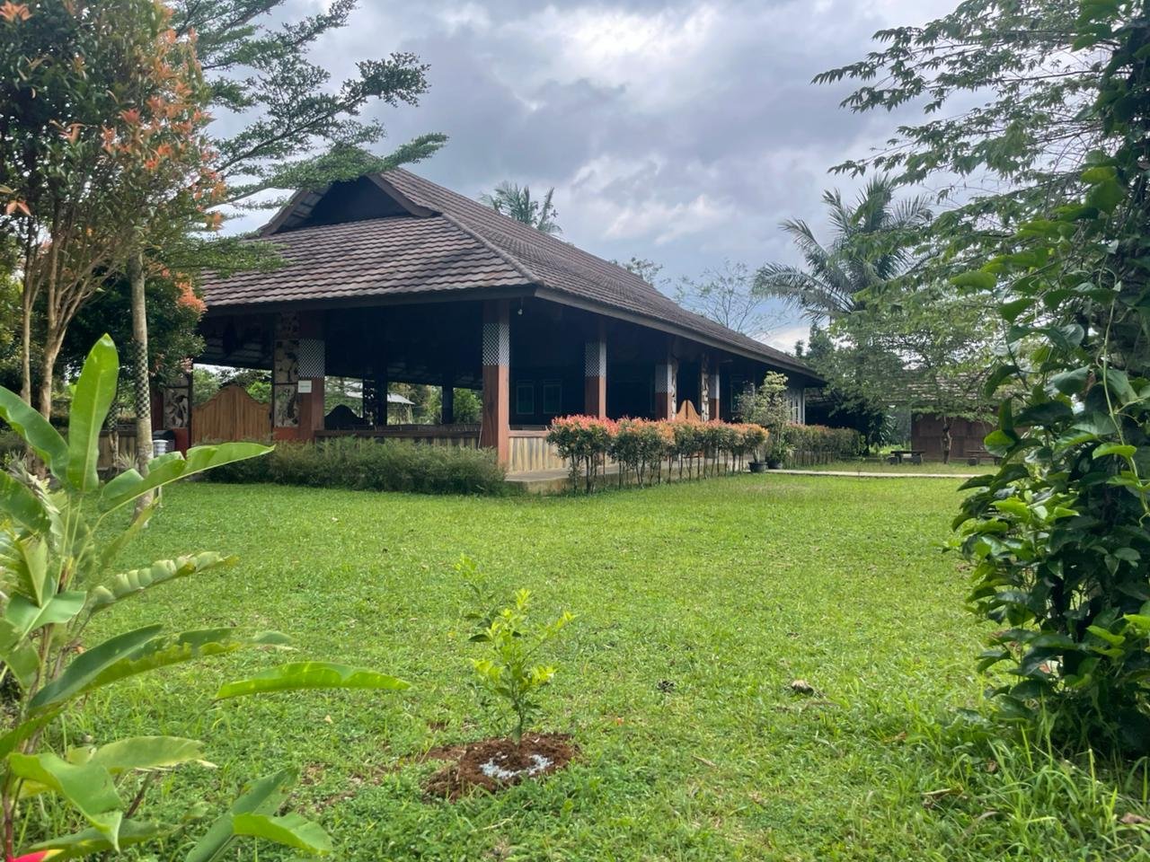 Saung